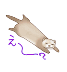 フェレットすたんぷ お返事編（個別スタンプ：13）