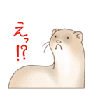 フェレットすたんぷ お返事編（個別スタンプ：14）