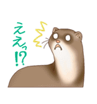 フェレットすたんぷ お返事編（個別スタンプ：15）