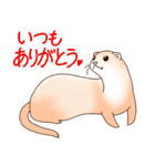フェレットすたんぷ お返事編（個別スタンプ：19）