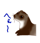 フェレットすたんぷ お返事編（個別スタンプ：22）