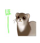 フェレットすたんぷ お返事編（個別スタンプ：23）