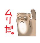 フェレットすたんぷ お返事編（個別スタンプ：27）