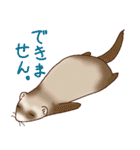 フェレットすたんぷ お返事編（個別スタンプ：29）