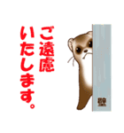フェレットすたんぷ お返事編（個別スタンプ：30）