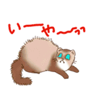 フェレットすたんぷ お返事編（個別スタンプ：32）