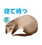 フェレットすたんぷ お返事編（個別スタンプ：35）