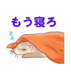 フェレットすたんぷ お返事編（個別スタンプ：40）