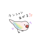 オーロラ文鳥（個別スタンプ：20）