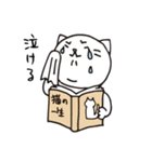 書店員にゃんこの日常（個別スタンプ：20）