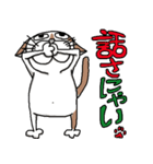我が家のぷち男クン（個別スタンプ：3）