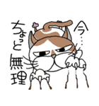 我が家のぷち男クン（個別スタンプ：7）