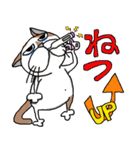 我が家のぷち男クン（個別スタンプ：34）