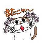 我が家のぷち男クン（個別スタンプ：40）