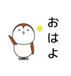おとぼけスズメの毎日使えるスタンプ（個別スタンプ：3）