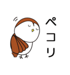 おとぼけスズメの毎日使えるスタンプ（個別スタンプ：20）