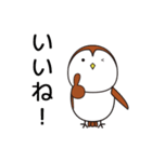 おとぼけスズメの毎日使えるスタンプ（個別スタンプ：33）