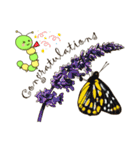 Butterflies of Taiwan ＆ Caterpillar（個別スタンプ：18）