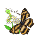 Butterflies of Taiwan ＆ Caterpillar（個別スタンプ：24）