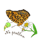 Butterflies of Taiwan ＆ Caterpillar（個別スタンプ：26）