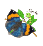 Butterflies of Taiwan ＆ Caterpillar（個別スタンプ：38）