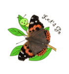 Butterflies of Taiwan ＆ Caterpillar（個別スタンプ：39）