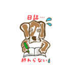 学園のアイドル犬「ギン」（個別スタンプ：2）