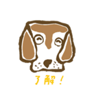学園のアイドル犬「ギン」（個別スタンプ：7）