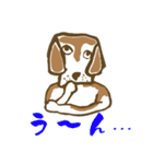 学園のアイドル犬「ギン」（個別スタンプ：11）