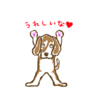 学園のアイドル犬「ギン」（個別スタンプ：25）