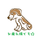 学園のアイドル犬「ギン」（個別スタンプ：27）