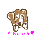 学園のアイドル犬「ギン」（個別スタンプ：29）