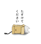 はじめましてストラッチです（個別スタンプ：21）