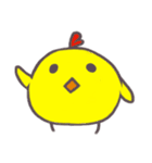 cutechicken o8o（個別スタンプ：1）