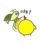 cutechicken o8o（個別スタンプ：36）
