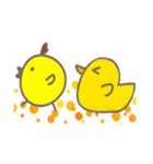 cutechicken o8o（個別スタンプ：38）