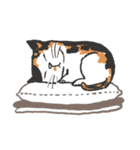 Meow Bai-tarn（個別スタンプ：27）