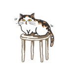 Meow Bai-tarn（個別スタンプ：36）