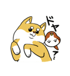 柴犬きなこのスタンプ（個別スタンプ：27）