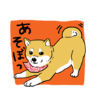 柴犬きなこのスタンプ（個別スタンプ：38）