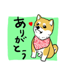 柴犬きなこのスタンプ（個別スタンプ：39）