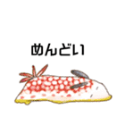 うみもっち（個別スタンプ：13）