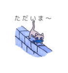 イケてるにゃんこロシアンブルー（個別スタンプ：7）