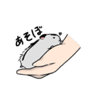 ふわもさはむ。（個別スタンプ：12）