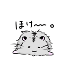 ふわもさはむ。（個別スタンプ：36）