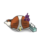 ポポザビーグルパピー（個別スタンプ：12）