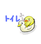 ぴよぴよ鳥（個別スタンプ：5）