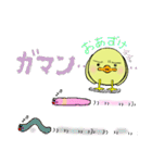 ぴよぴよ鳥（個別スタンプ：22）