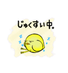 ぴよぴよ鳥（個別スタンプ：27）