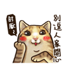 Cut Cat Help you speak（個別スタンプ：1）